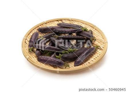 克婁巴特拉豆 50460945