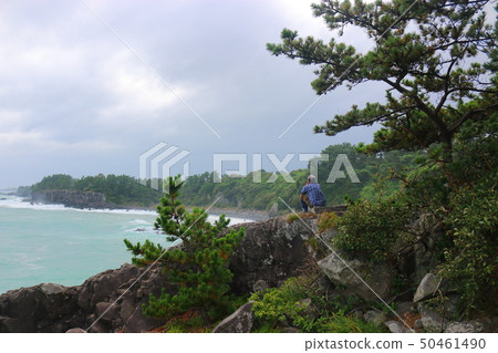 Jeju coast, cliff, lava, wave, fang, 50461490