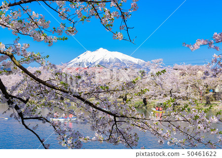 弘前城堡節 50461622