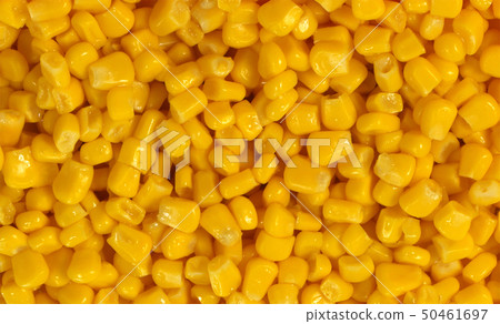 Bulk of yellow corn grains Bulk of yellow corn grains 50461697