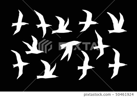 WebSea gulls silhouette set 50461924