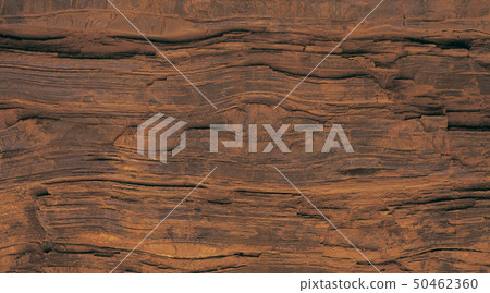 tree background 50462360