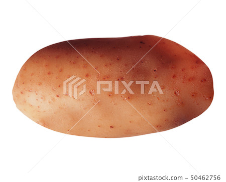 potato isolated on white potato isolated on white 50462756