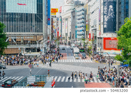 [Tokyo] Shibuya scramble intersection 50463200