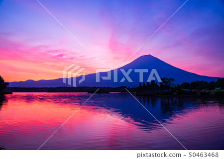 (Shizuoka Prefecture) Mt. Fuji The dawn of Lake Tanuki 50463468