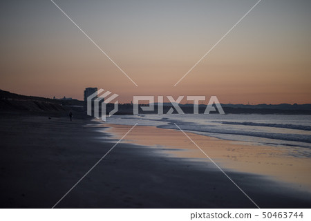 海岸 海岸 50463744