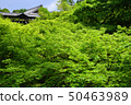 Fresh green and green maple of Kyoto Tofukuji 50463989