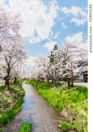 [山梨縣]櫻桃樹 50464588