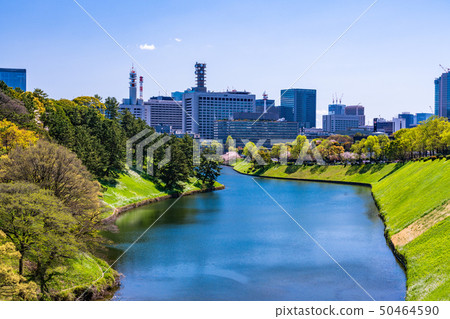 (Tokyo) Chidorigafuchi Green Road near Hanzomon Spring (Tokyo) Chidorigafuchi Green Road near Hanzomon Spring 50464590