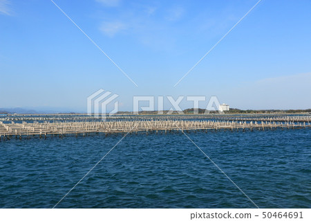 Lake Hamana in spring (Shizuoka Prefecture) 50464691