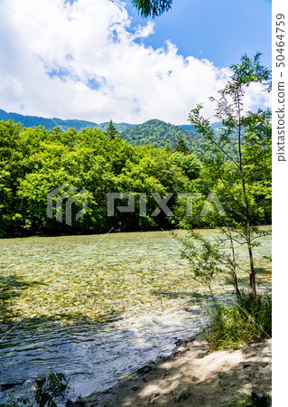[長野縣]上高地 50464759
