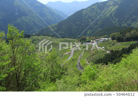 Machu Picchu in Gifu 50464812