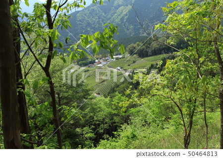 Machu Picchu in Gifu Machu Picchu in Gifu 50464813