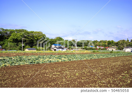 Field (spring) 50465058