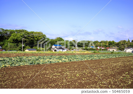 Field (spring) Field (spring) 50465059