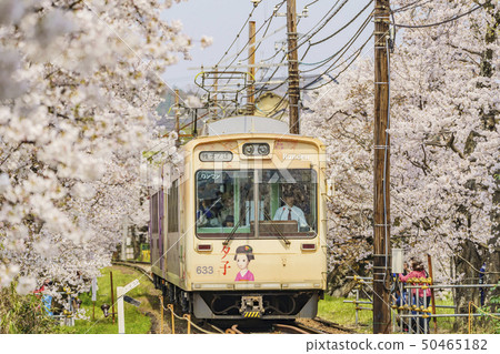 風暴電櫻桃隧道 50465182