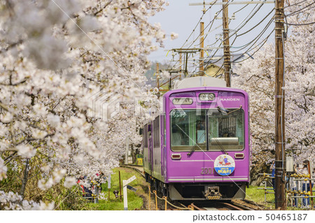 風暴電櫻桃隧道 風暴電櫻桃隧道 50465187