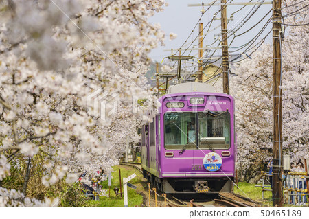 Storm electric cherry tunnel Storm electric cherry tunnel 50465189