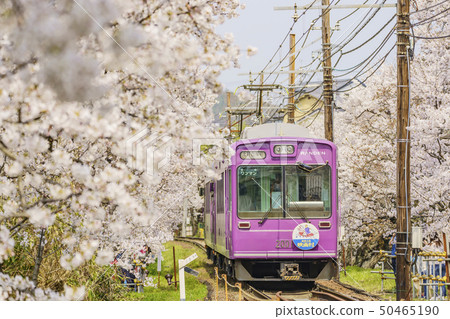 風暴電櫻桃隧道 風暴電櫻桃隧道 50465190