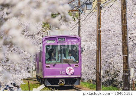 風暴電櫻桃隧道 50465192