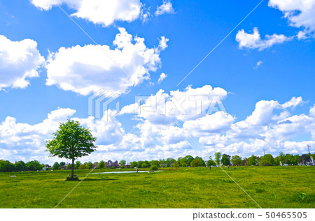 藍天 藍天 50465505