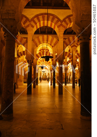 Mesquita Columnar Forest 50465887