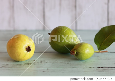 Guava fruit 50466297