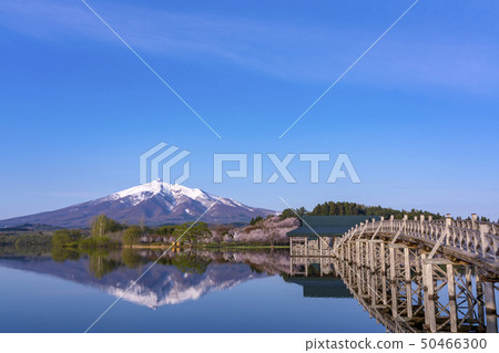 Tsuru no Mahaba in Aomori Prefecture and Iwakiyama 50466300