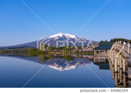 Tsuru no Mahaba in Aomori Prefecture and Iwakiyama 50466304