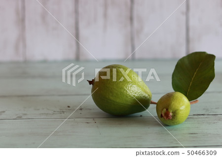 番石榴果 50466309