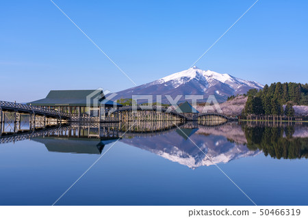 Tsuru no Mahaba in Aomori Prefecture and Iwakiyama 50466319