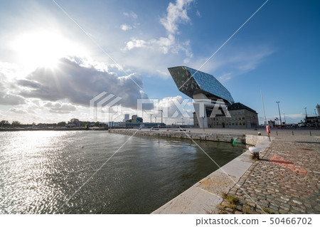 new Port House new Port House 50466702