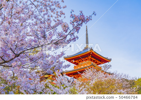 Kyoto Spring Kiyomizu Temple Triple Tower 50466784