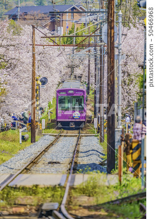 Storm electric cherry tunnel 50466968