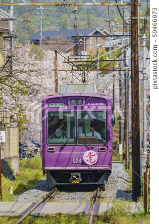 風暴電櫻桃隧道 風暴電櫻桃隧道 50466973