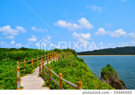 Iriomote Island 50466988