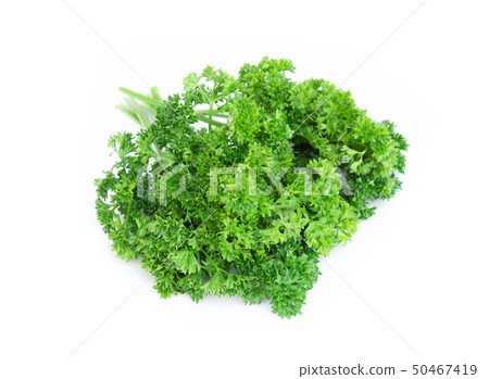 Parsley vegetable isolated on white background Parsley vegetable isolated on white background 50467419