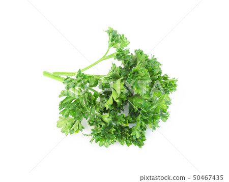 Parsley vegetable isolated on white background Parsley vegetable isolated on white background 50467435