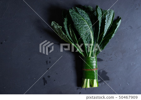 bunch of fresh lacinato kale 50467909