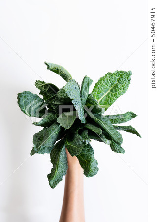 bunch of fresh lacinato kale 50467915