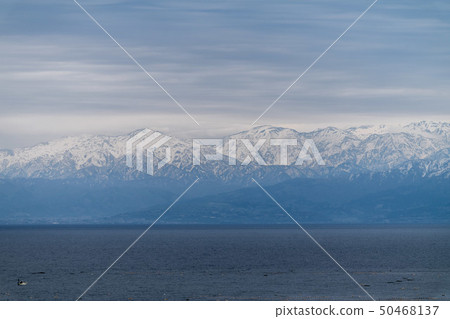 Amaharu Kaigan 3216 50468137