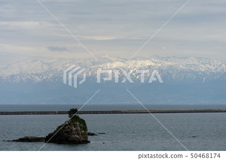 Amaharu Kashiwa 2928 50468174