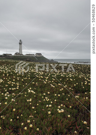 Lighthouse Lighthouse 50468629