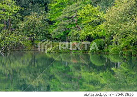 Kenrokuen 3431 Kenrokuen 3431 50468636