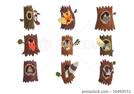 Cute animals and birds sitting in hollow of tree set, hollowed out old tree and fox, owl, wolf Cute animals and birds sitting in hollow of tree set, hollowed out old tree and fox, owl, wolf 50469552