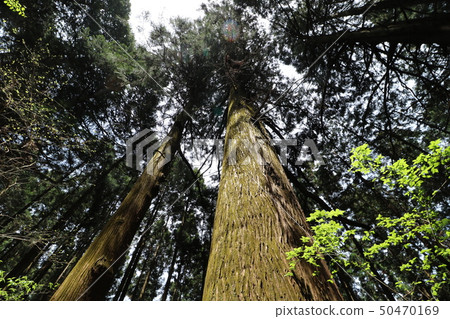 登山Mt. Otake在Okutama，東京 50470169