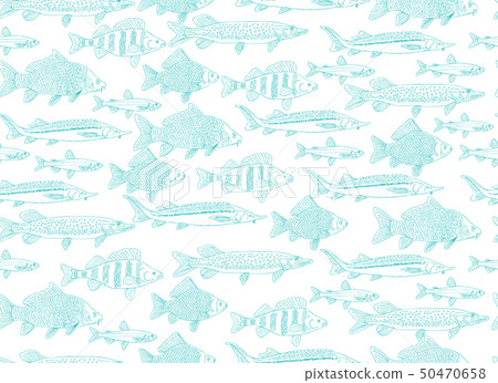 Fish collection, seamless pattern for your design 50470658