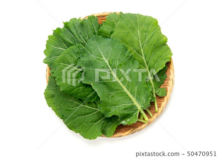 Collard Kale Collard Kale 50470951