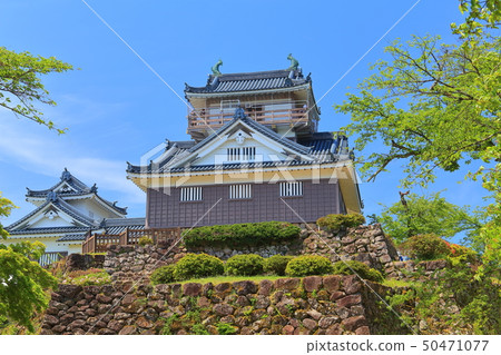 [Fukui Prefecture] Fresh green Echizen Ono Castle 50471077