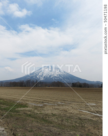 Mount Yotei Mount Yotei 50471198